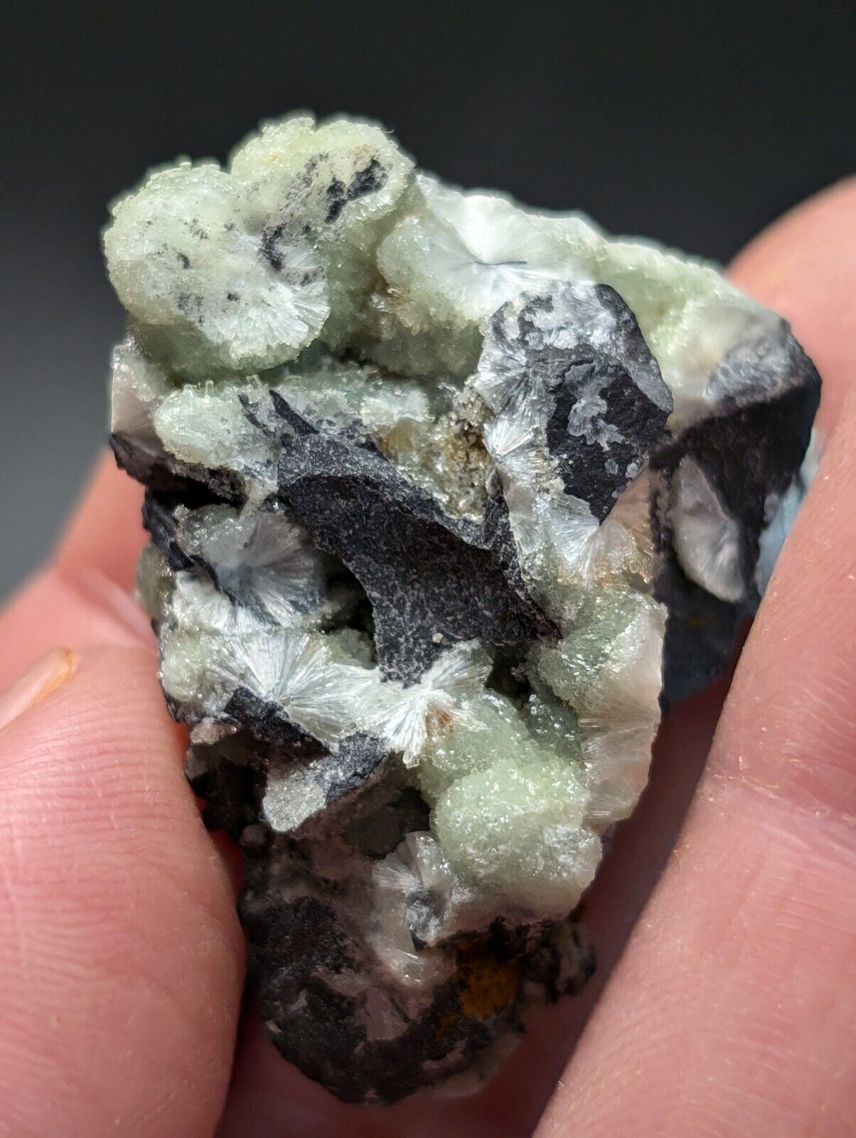 Amazing Wavellite Specimen (Arkansas USA) - OOAK Natural Crystal Cluster - Collectibles:Rocks Fossils &