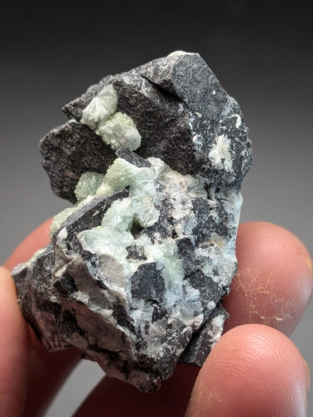A hand holds a dark gray rock specimen featuring clusters of translucent, pale green crystals with intricate, star-like formations.