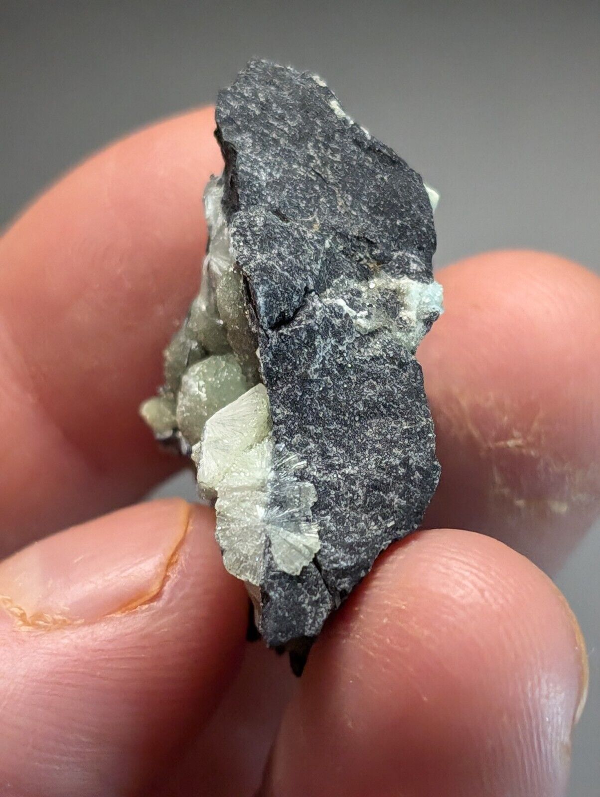Amazing Wavellite Specimen (Arkansas USA) - OOAK Natural Crystal Cluster - Collectibles:Rocks Fossils &