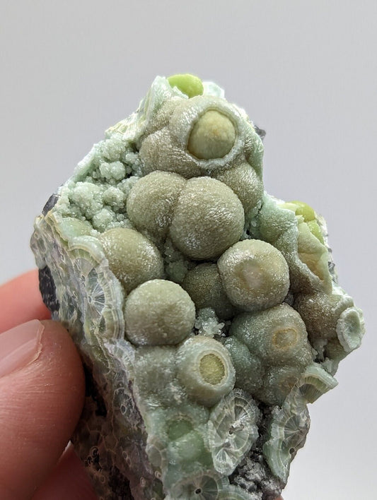 Amazing Wavellite Specimen - Rare 1990s Old Stock - Mauldin Mountain Arkansas A + - Collectibles:Rocks Fossils &