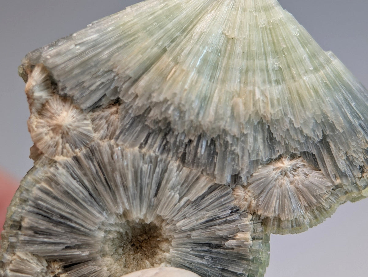 Amazing wavellite with greenish-blue radiating crystal layers mounted on handmade wood from Garland County Arkansas