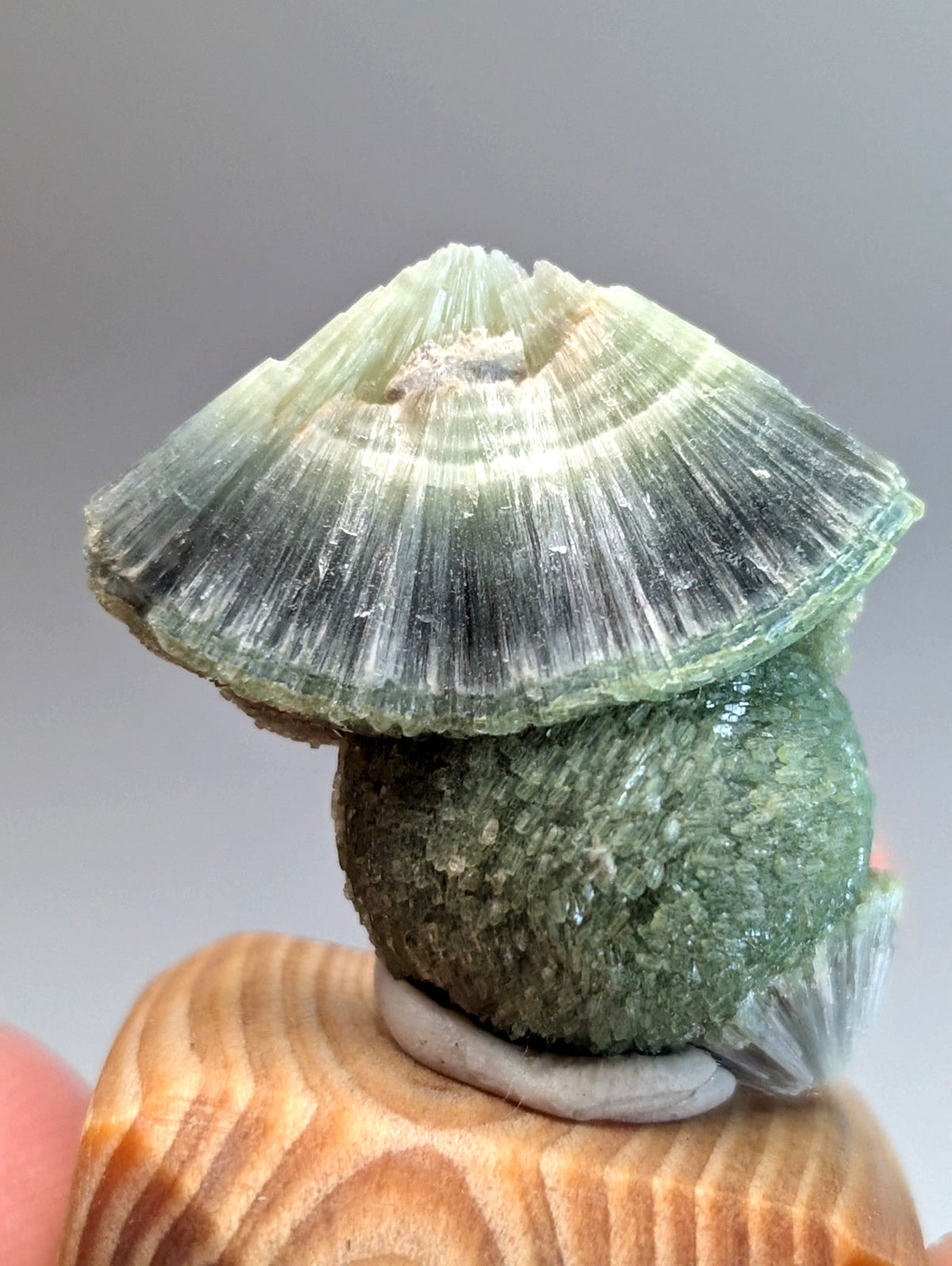 Amazing wavellite mineral with green and white fan-like crystalline cap on handmade wood mount from Garland County Arkansas