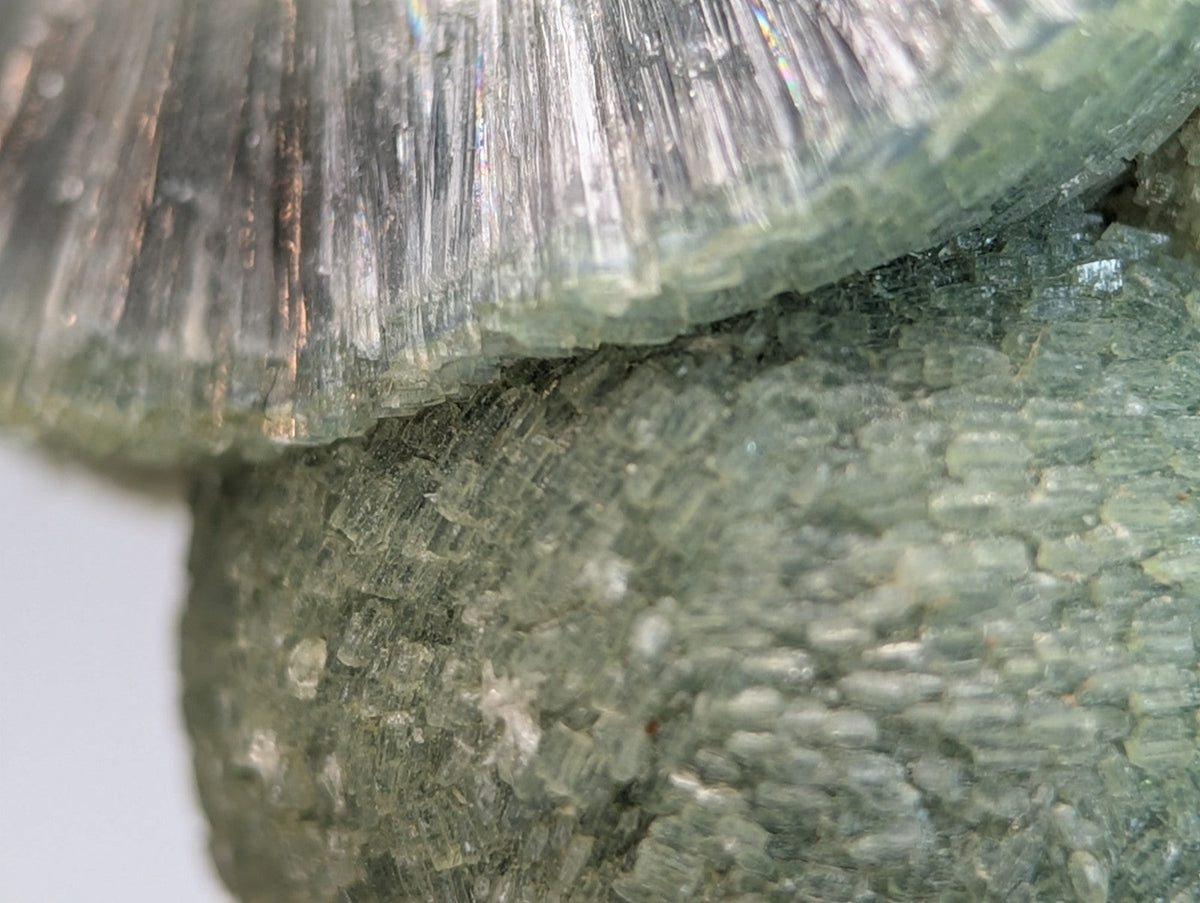 Amazing wavellite mineral with translucent green crystalline fibrous top and granular base on handmade wood mount from Arkansas