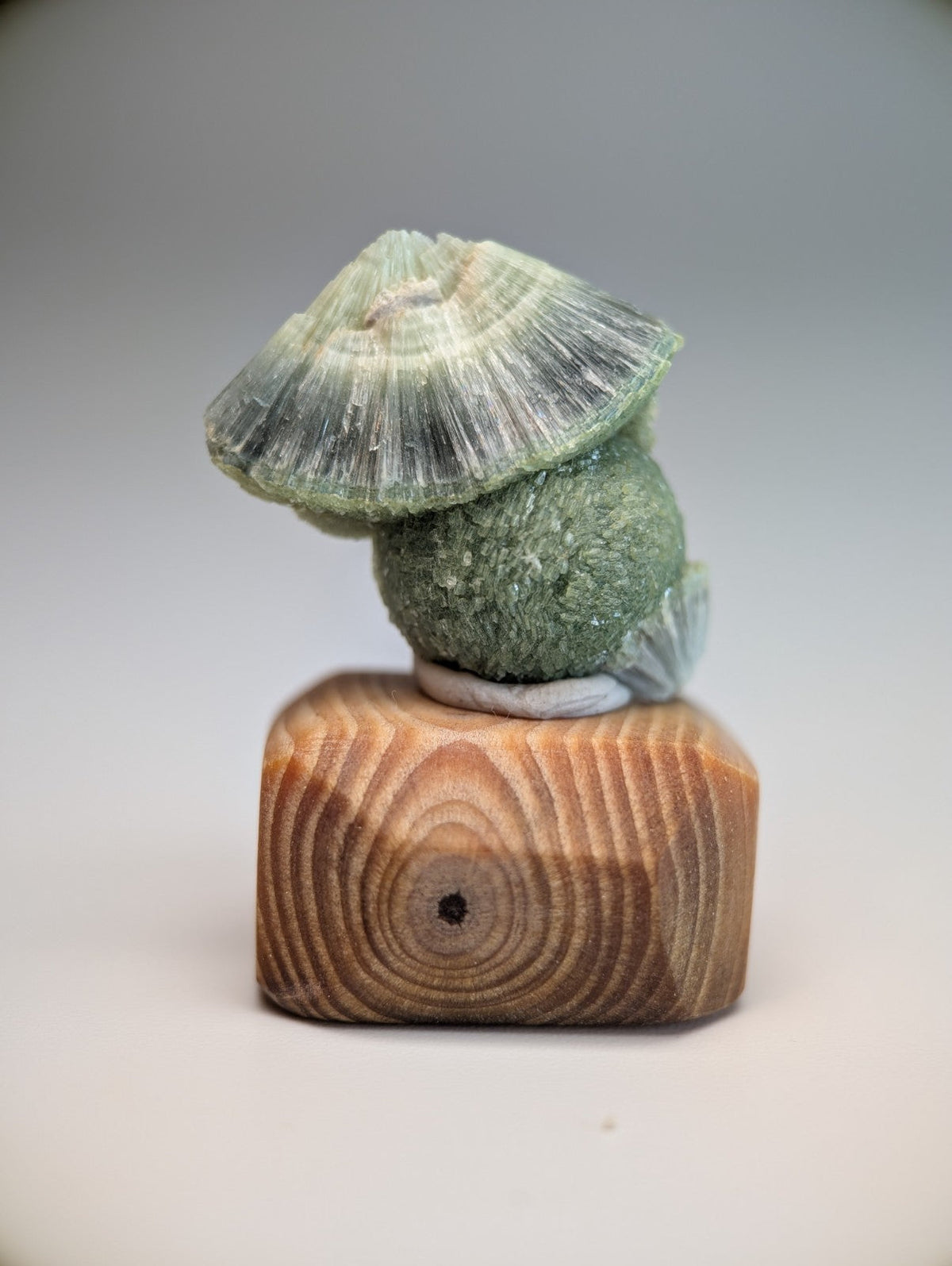 Amazing wavellite green textured mineral cactus sculpture with umbrella-shaped cap on handmade wood mount from Arkansas