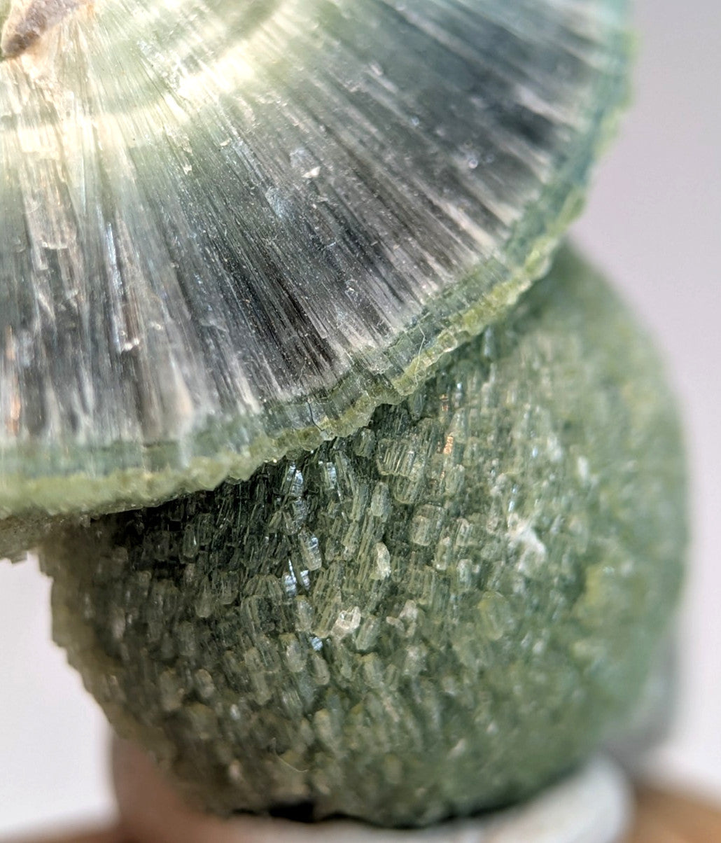 Translucent green wavellite mineral with fan-shaped crystal on rounded base with handmade wood mount from Arkansas