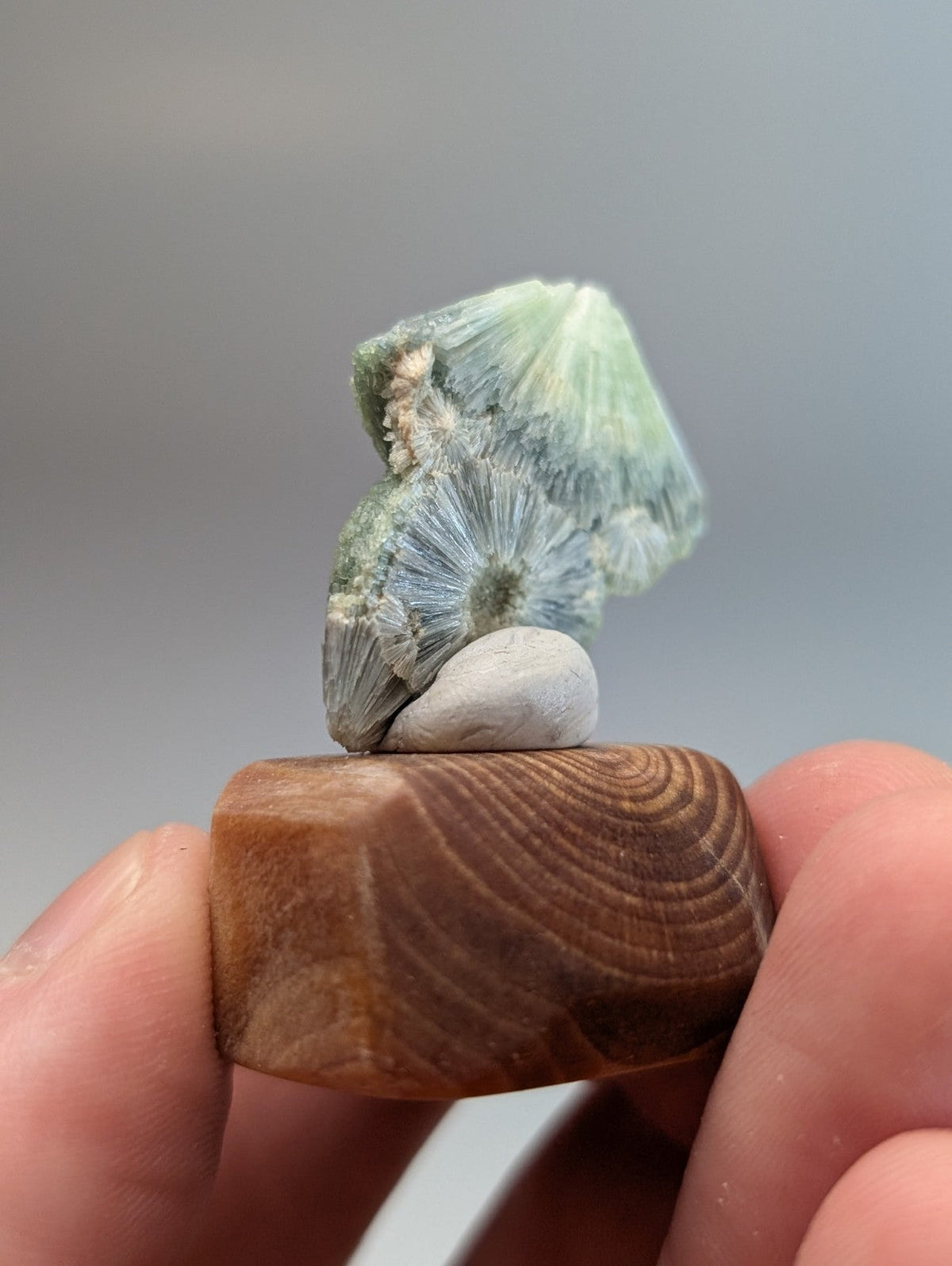 A delicate pale green and blue wavellite fossil balanced on a smooth white pebble with a handmade wood mount