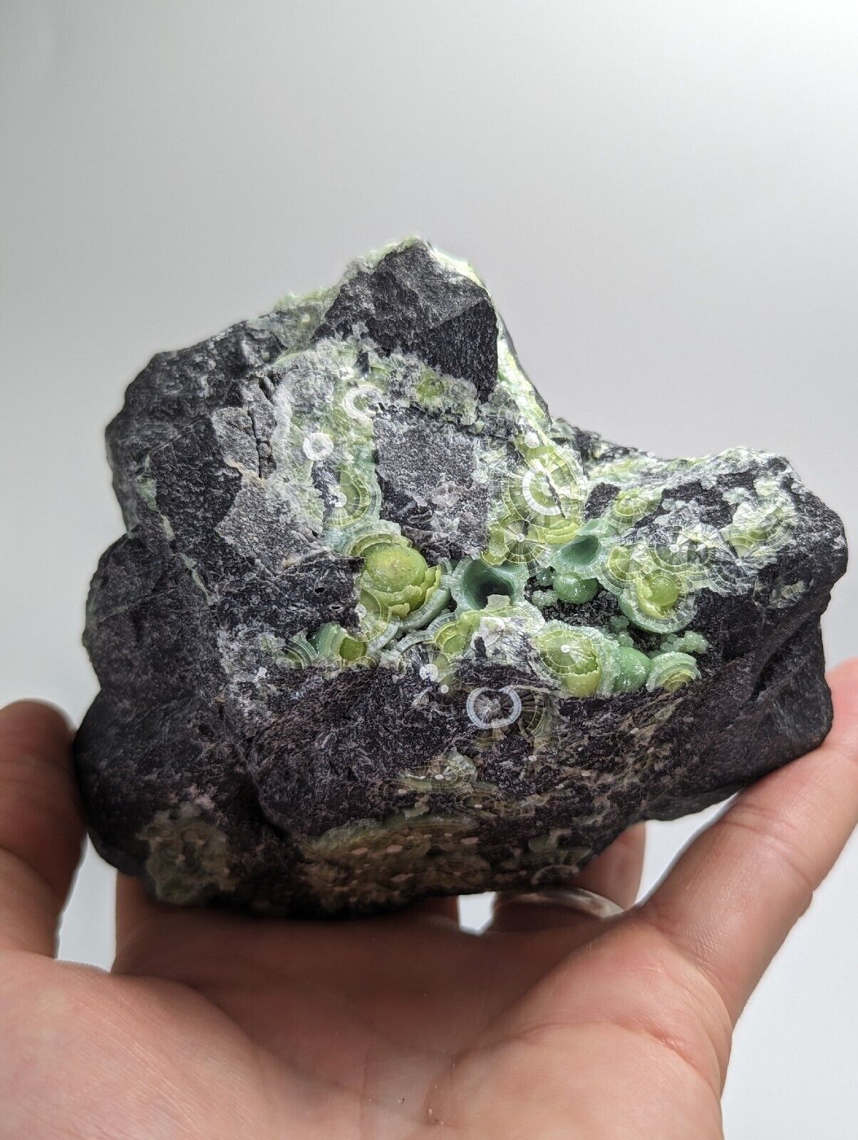 Amazing Wavellite w/ Large Eyes- Old Stock - Mauldin Mountain Arkansas - Collectibles:Rocks Fossils & Minerals:Crystals