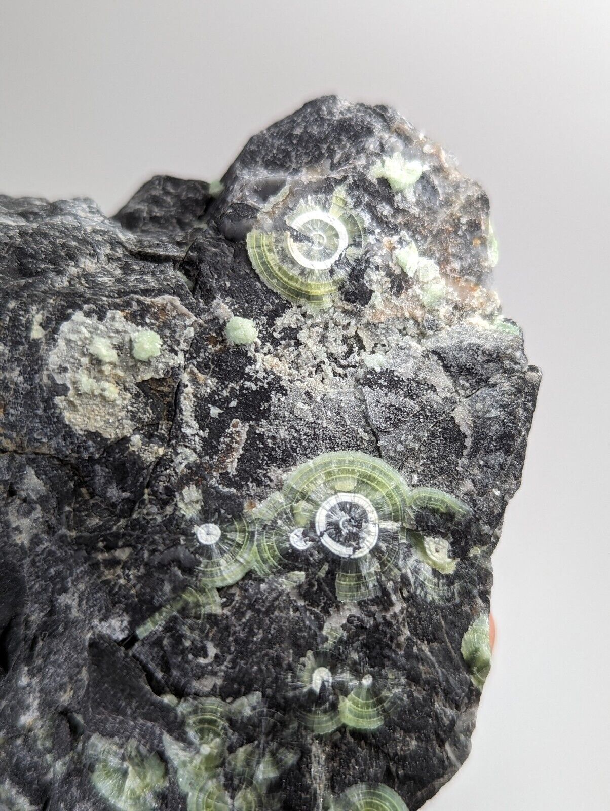 Amazing Wavellite w/ Large Eyes- Old Stock - Mauldin Mountain Arkansas - Collectibles:Rocks Fossils & Minerals:Crystals