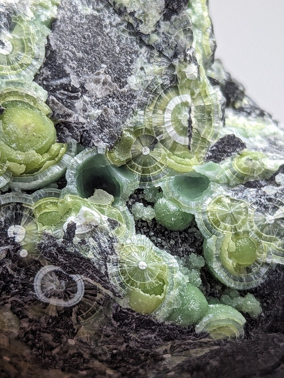 Amazing Wavellite w/ Large Eyes- Old Stock - Mauldin Mountain Arkansas - Collectibles:Rocks Fossils & Minerals:Crystals