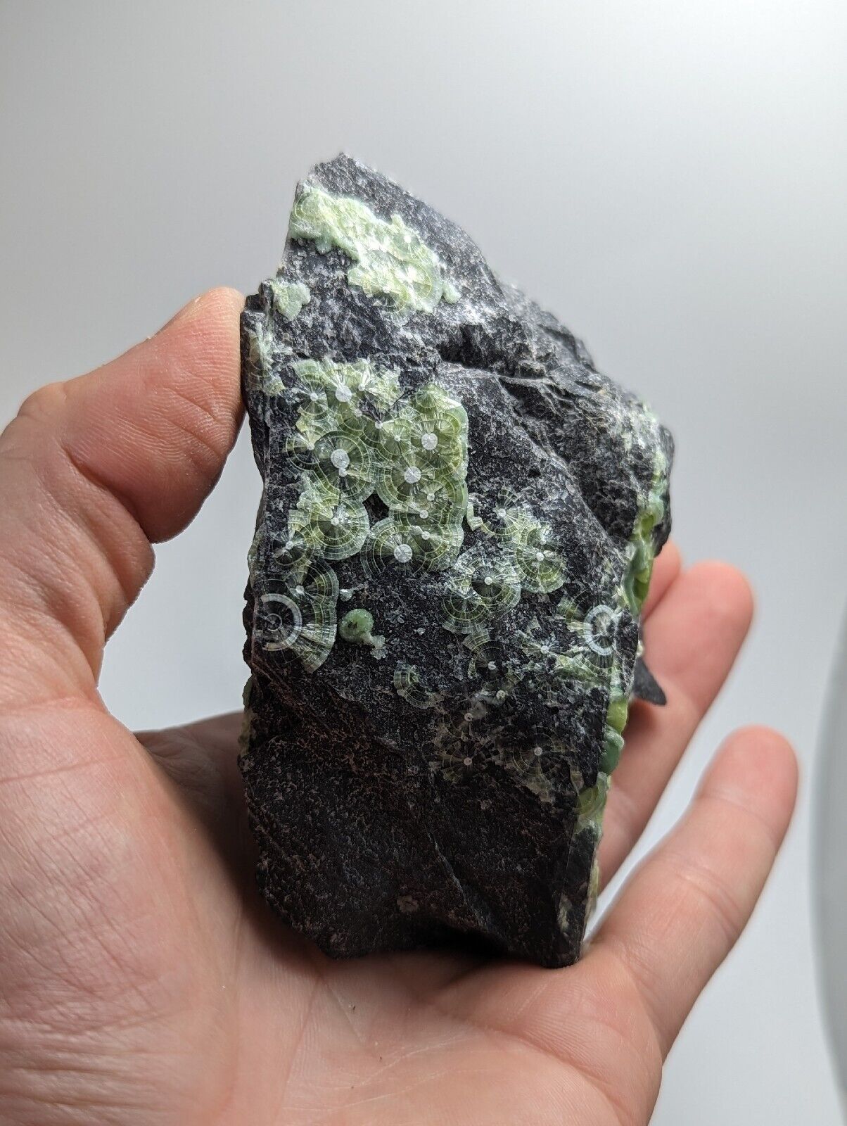Amazing Wavellite w/ Large Eyes- Old Stock - Mauldin Mountain Arkansas - Collectibles:Rocks Fossils & Minerals:Crystals