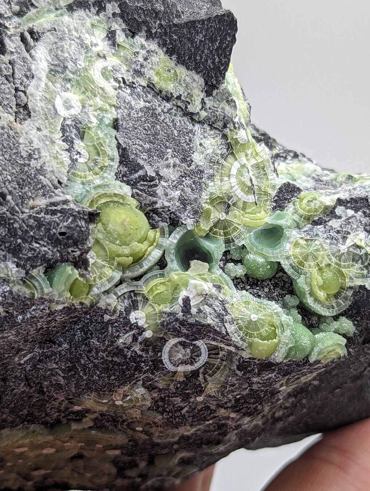 Amazing Wavellite w/ Large Eyes- Old Stock - Mauldin Mountain Arkansas - Collectibles:Rocks Fossils & Minerals:Crystals
