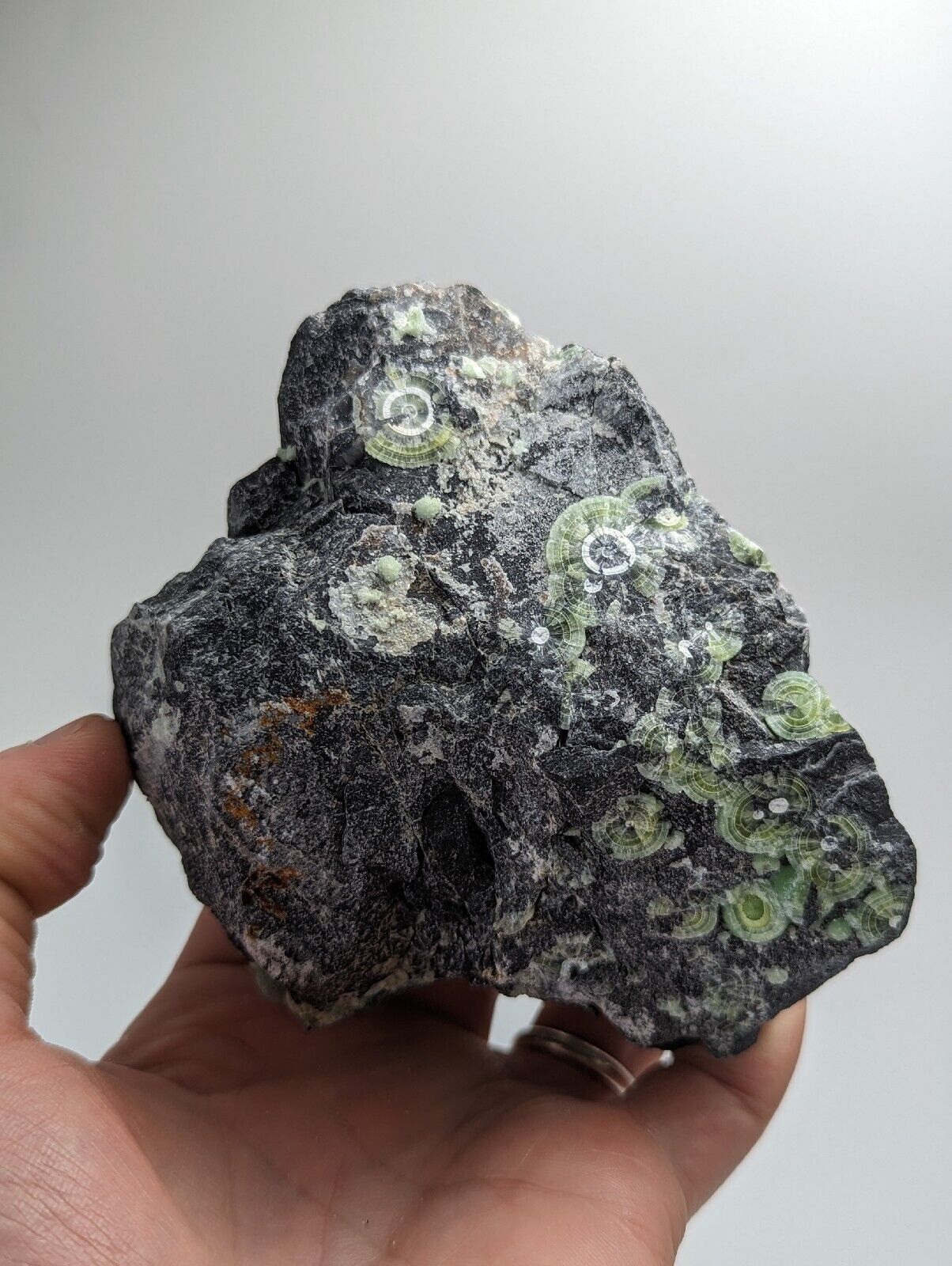 Amazing Wavellite w/ Large Eyes- Old Stock - Mauldin Mountain Arkansas - Collectibles:Rocks Fossils & Minerals:Crystals