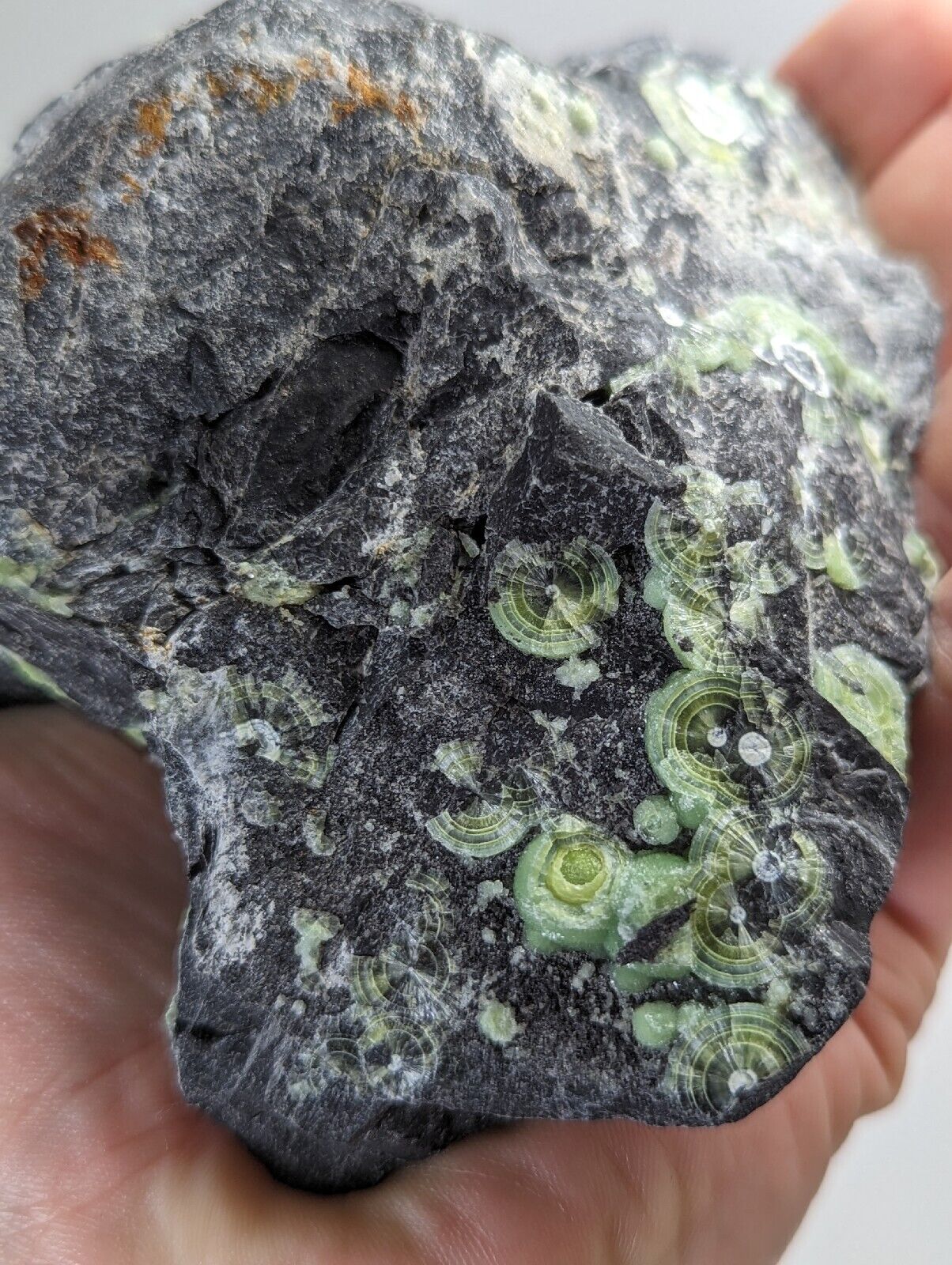 Amazing Wavellite w/ Large Eyes- Old Stock - Mauldin Mountain Arkansas - Collectibles:Rocks Fossils & Minerals:Crystals