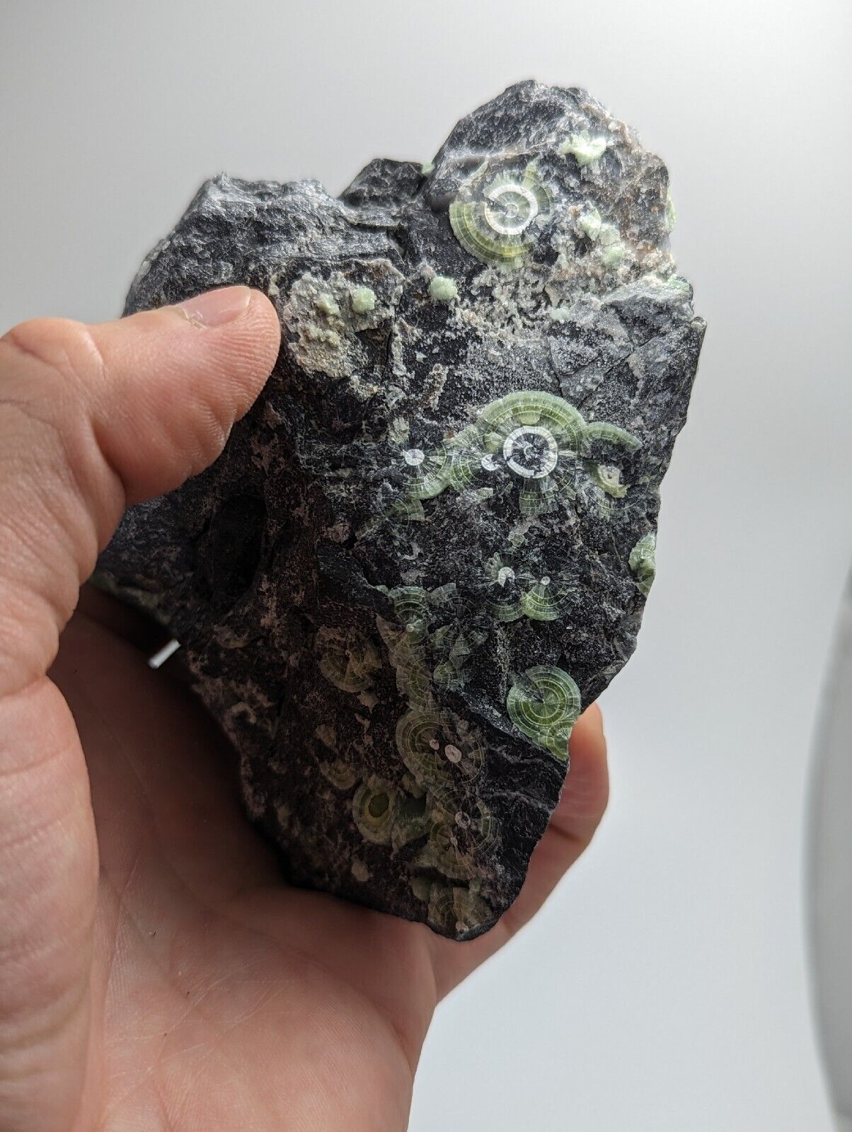 Amazing Wavellite w/ Large Eyes- Old Stock - Mauldin Mountain Arkansas - Collectibles:Rocks Fossils & Minerals:Crystals