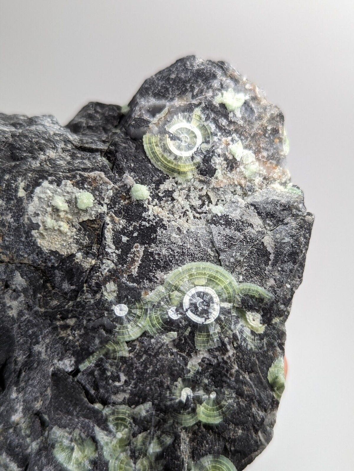 Amazing Wavellite w/ Large Eyes- Old Stock - Mauldin Mountain Arkansas - Collectibles:Rocks Fossils & Minerals:Crystals