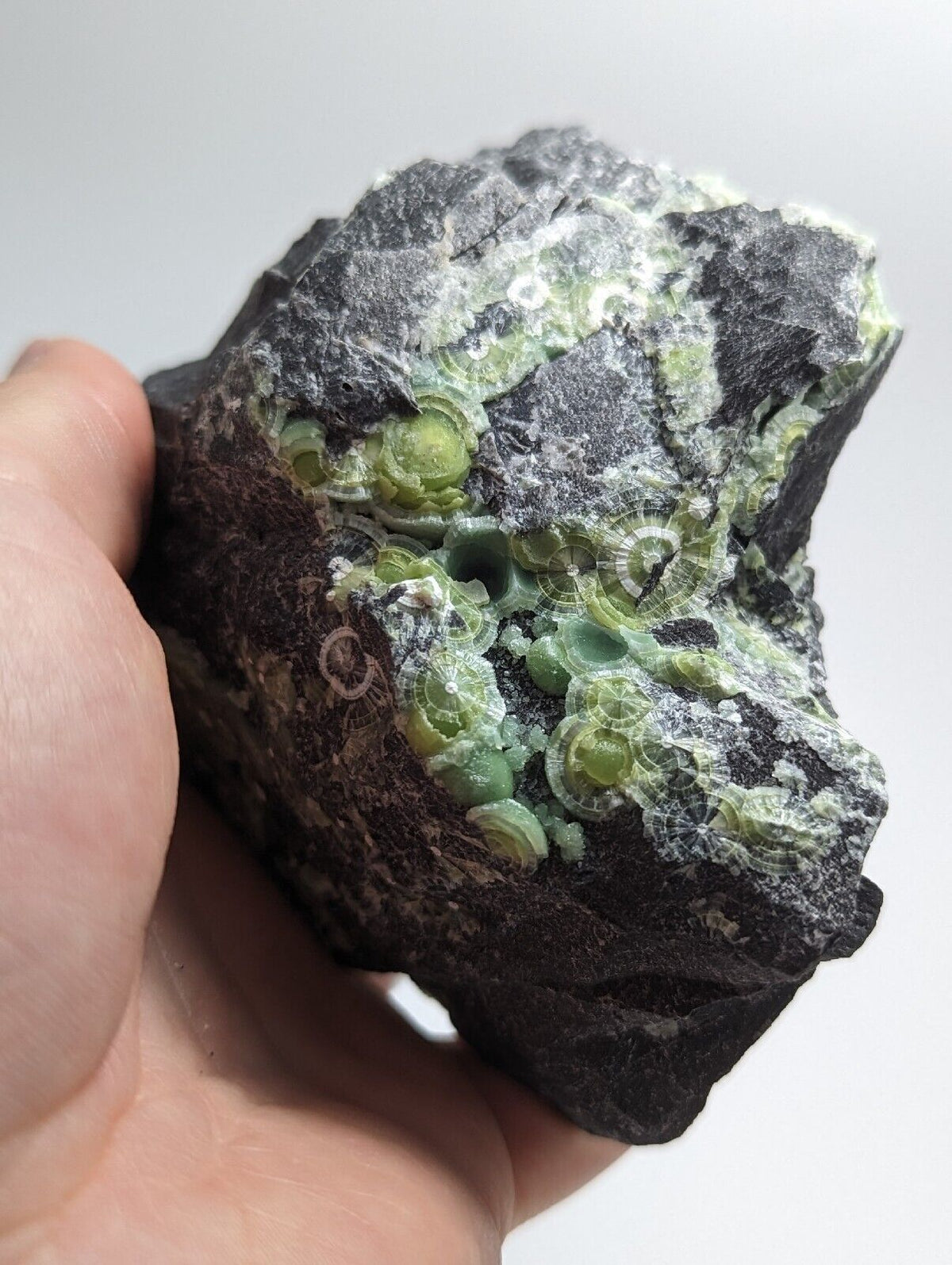 Amazing Wavellite w/ Large Eyes- Old Stock - Mauldin Mountain Arkansas - Collectibles:Rocks Fossils & Minerals:Crystals