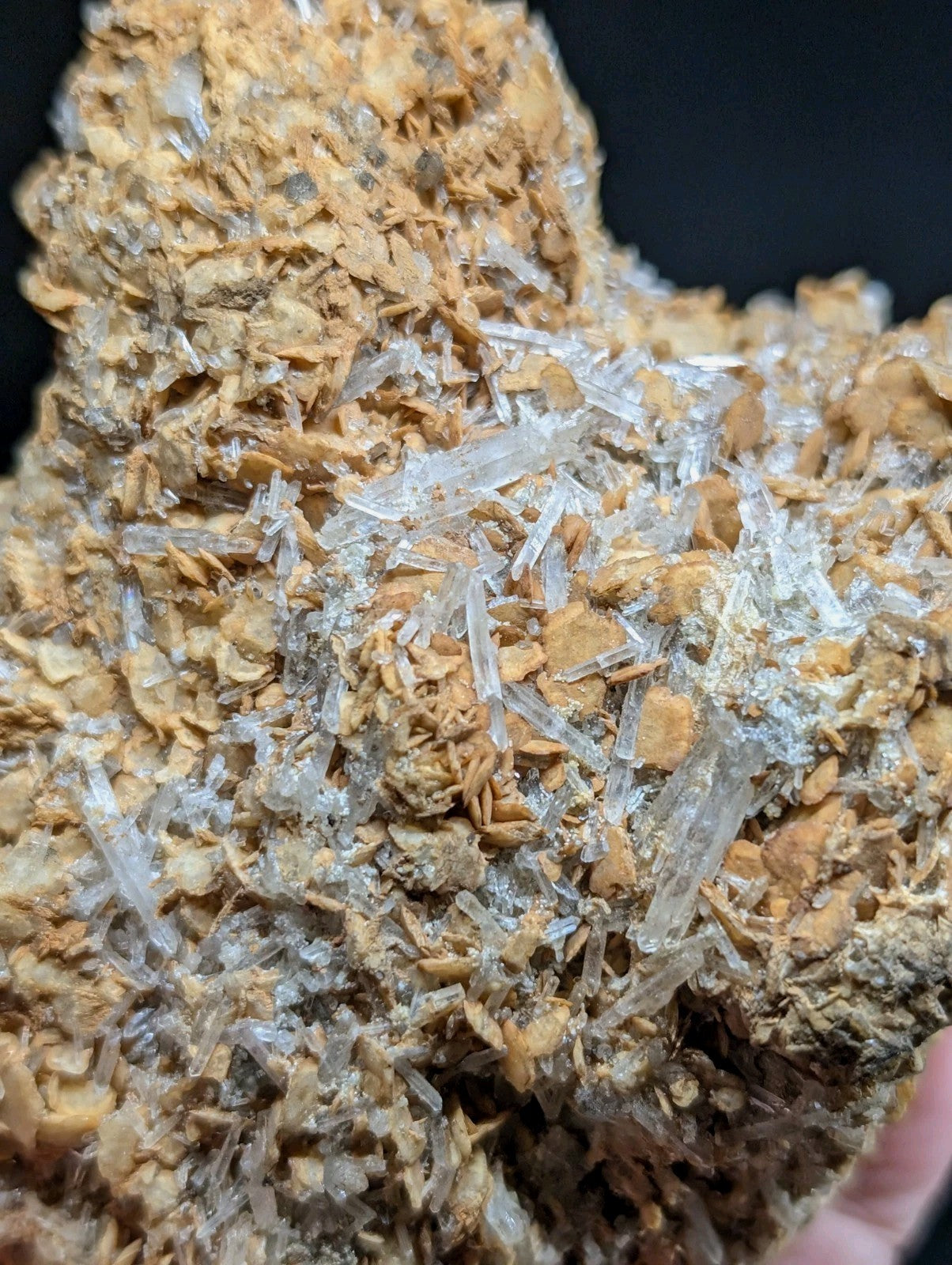 A rugged, earthy-toned mineral specimen featuring translucent quartz crystals embedded in a matrix of golden-brown rock.