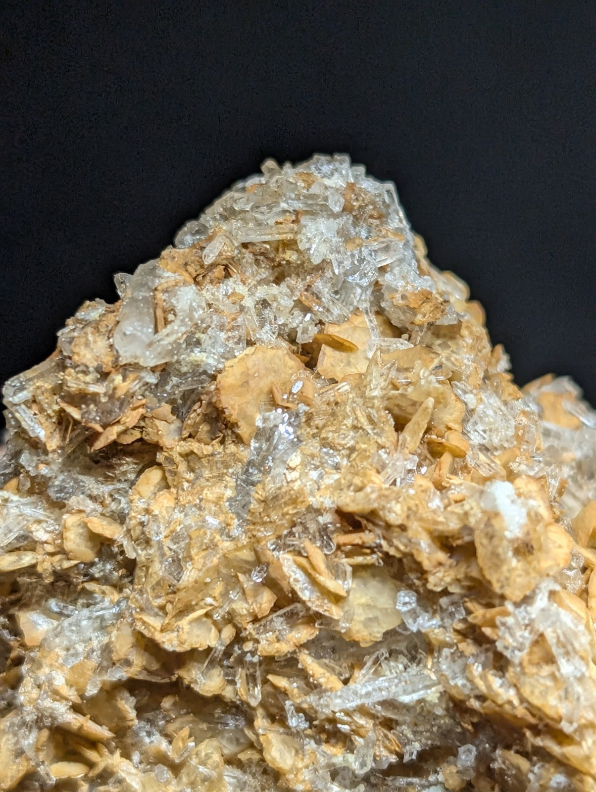 A cluster of translucent quartz crystals intergrown with golden-brown mineral matrix.