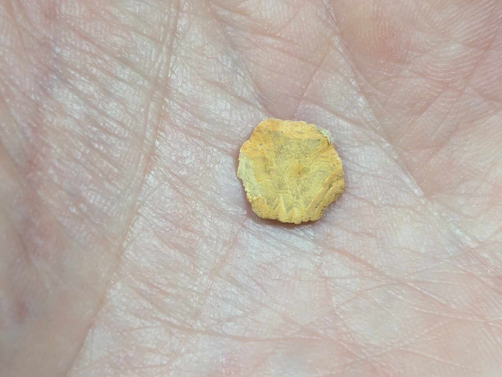A small, irregularly shaped yellowish mineral specimen with a rough, textured surface rests in the palm of a hand.