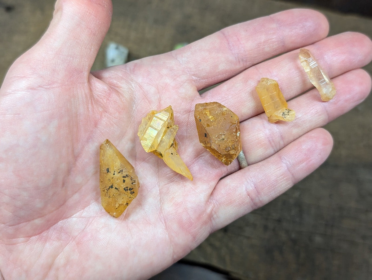 A hand holds five translucent amber-colored crystal specimens with natural facets and inclusions.