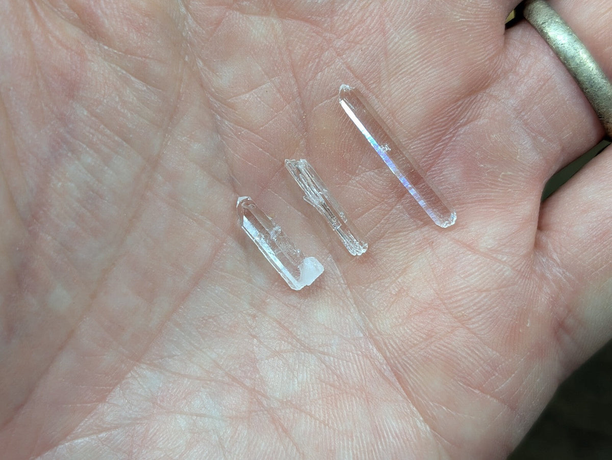 Three translucent, clear quartz crystals with smooth, faceted surfaces and subtle iridescent reflections rest in the palm.