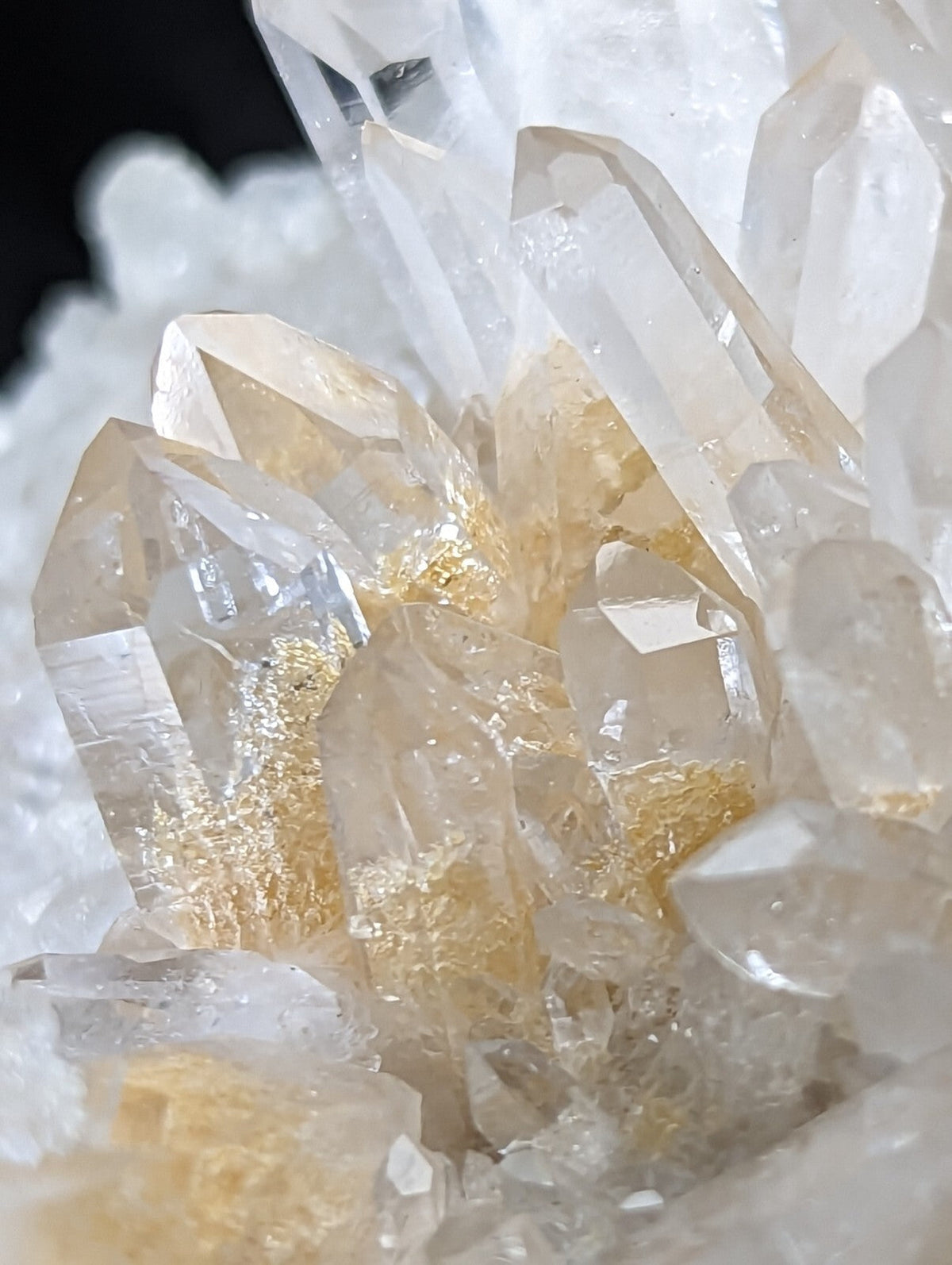 A cluster of clear quartz crystals with golden inclusions, showcasing their natural geometric facets and translucent quality.