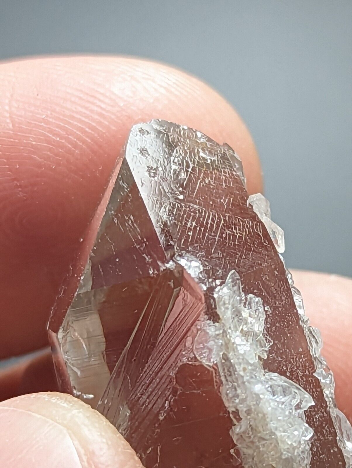 Arkansas Quartz Crystal Point w/ Rare Facet ’Inclusions’ Garland Co old stock - Collectibles:Rocks Fossils &