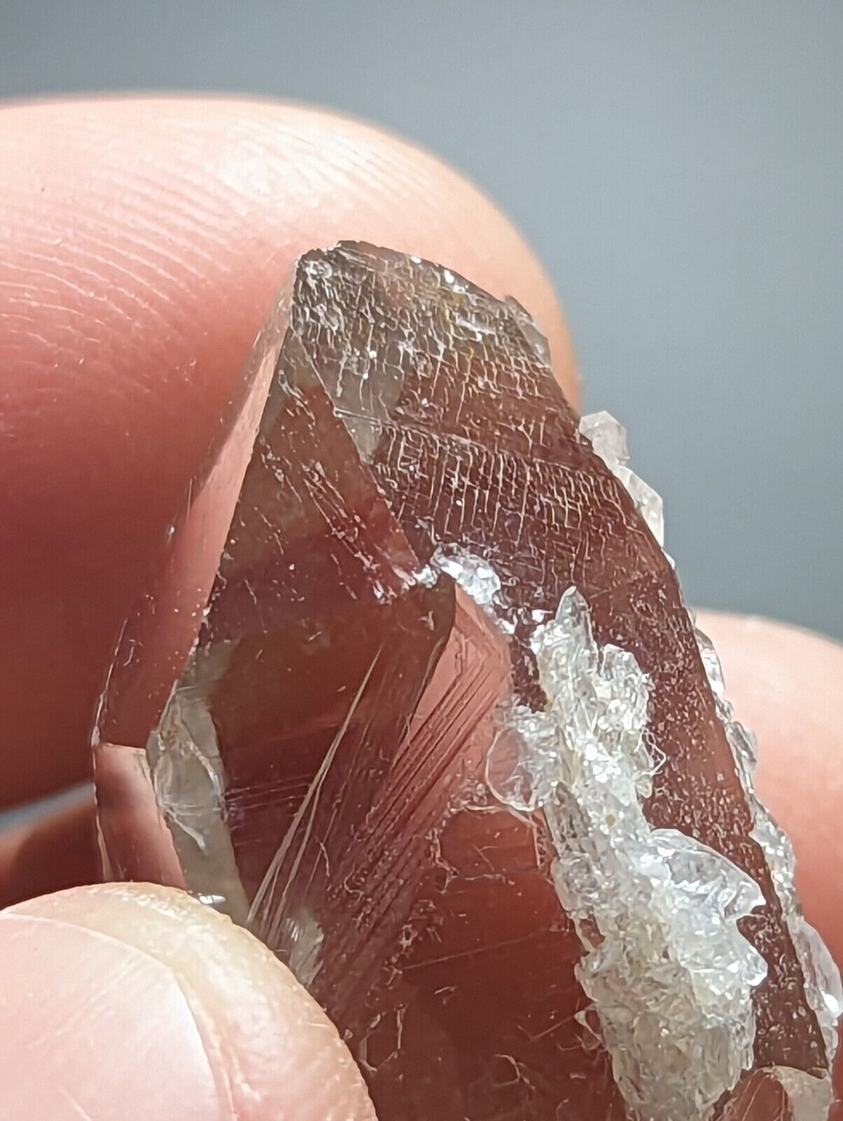 Arkansas Quartz Crystal Point w/ Rare Facet ’Inclusions’ Garland Co old stock - Collectibles:Rocks Fossils &