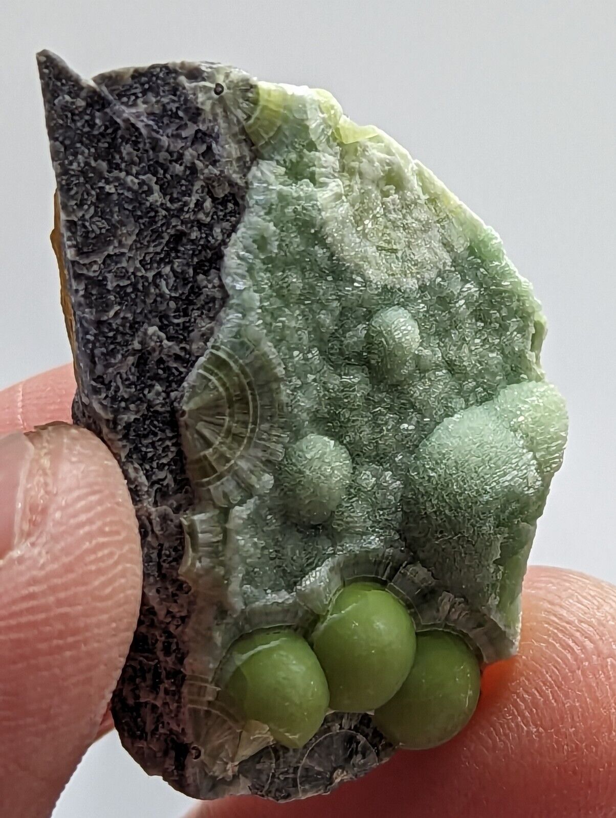 Awesome Wavellite - Fantastic 1990s Old Stock - Mauldin Mountain Arkansas - Collectibles:Rocks Fossils &