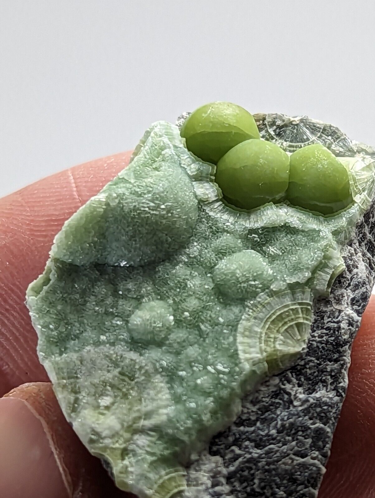 Awesome Wavellite - Fantastic 1990s Old Stock - Mauldin Mountain Arkansas - Collectibles:Rocks Fossils &