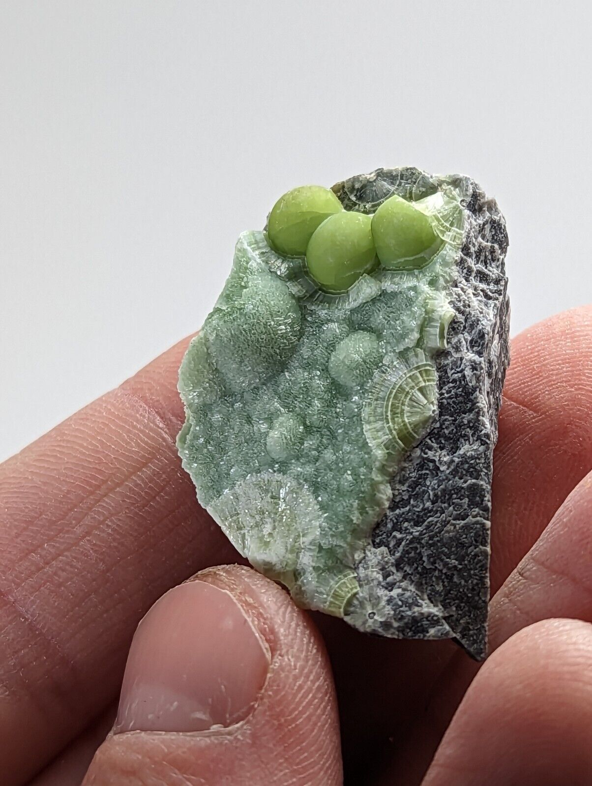Awesome Wavellite - Fantastic 1990s Old Stock - Mauldin Mountain Arkansas - Collectibles:Rocks Fossils &
