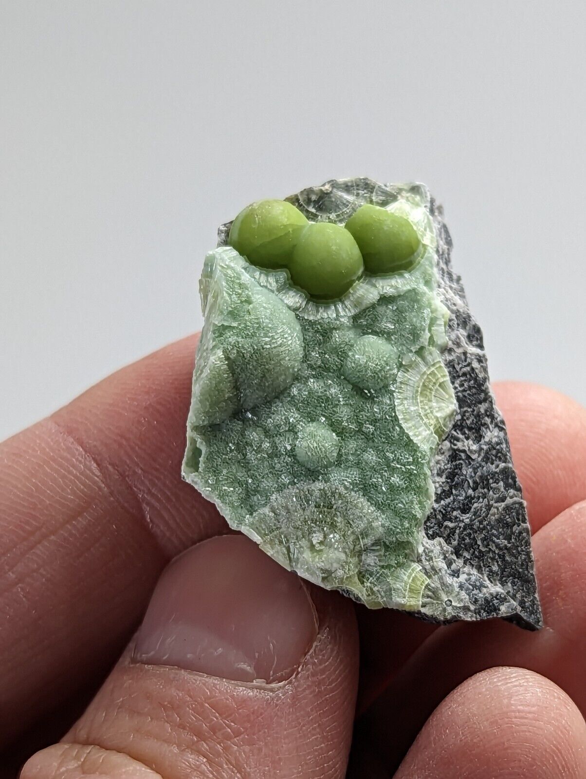 Awesome Wavellite - Fantastic 1990s Old Stock - Mauldin Mountain Arkansas - Collectibles:Rocks Fossils &