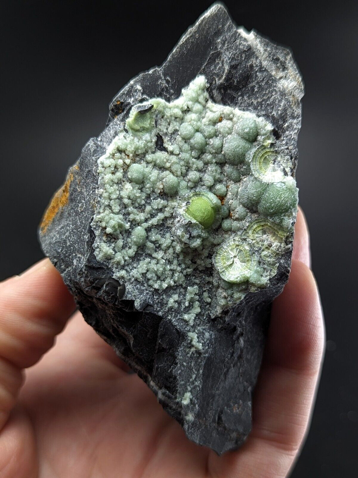 Awesome Wavellite - Fantastic Old Stock - Mauldin Mountain Arkansas ooak - Collectibles:Rocks Fossils &
