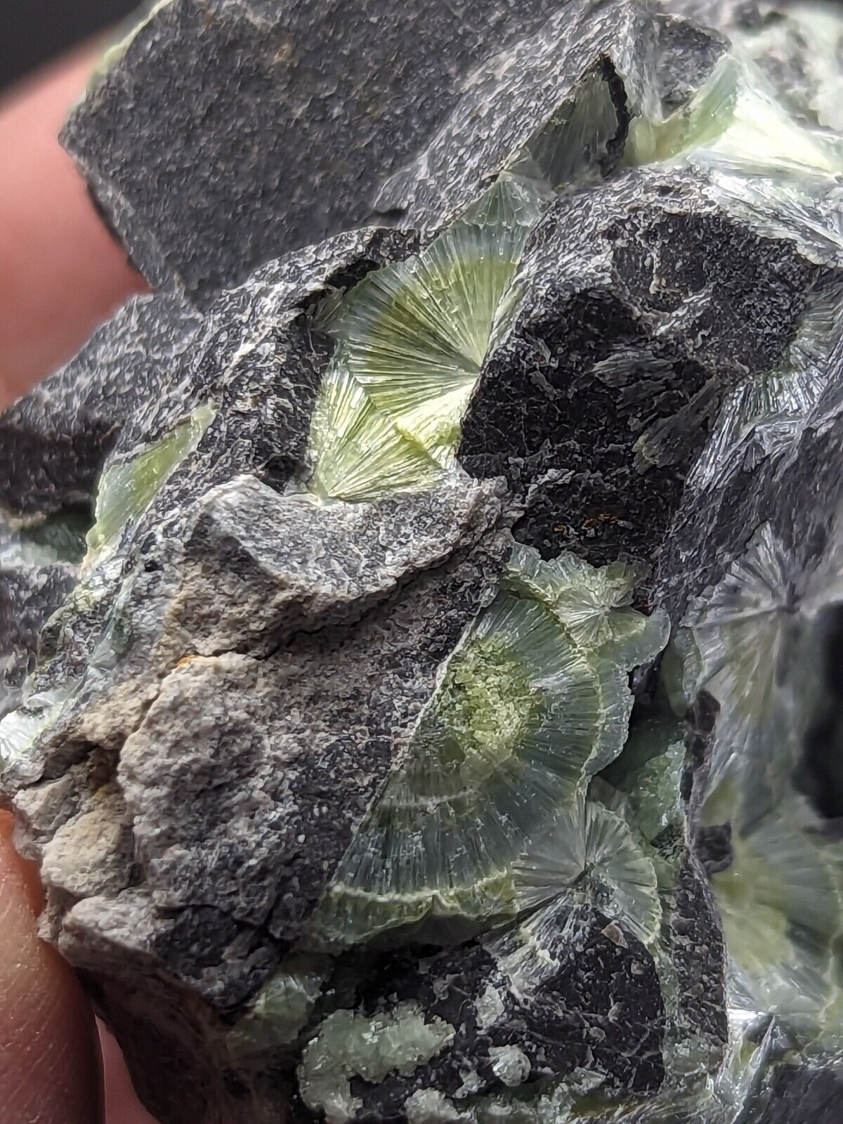 Awesome Wavellite - Fantastic Old Stock - Mauldin Mountain Arkansas - Collectibles:Rocks Fossils & Minerals:Crystals