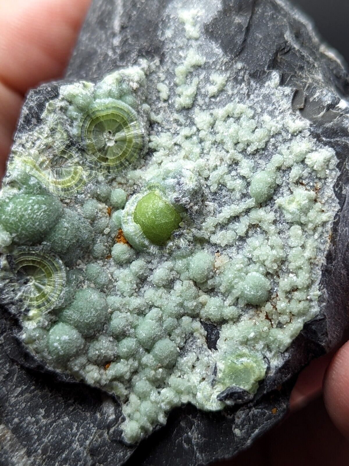 Awesome Wavellite - Fantastic Old Stock - Mauldin Mountain Arkansas ooak - Collectibles:Rocks Fossils &