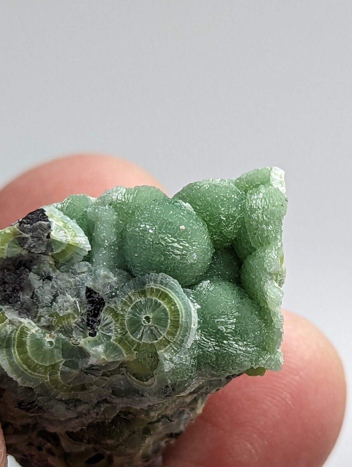 Beautiful Wavellite - Fantastic 1990s Old Stock - Mauldin Mountain Arkansas - Collectibles:Rocks Fossils &