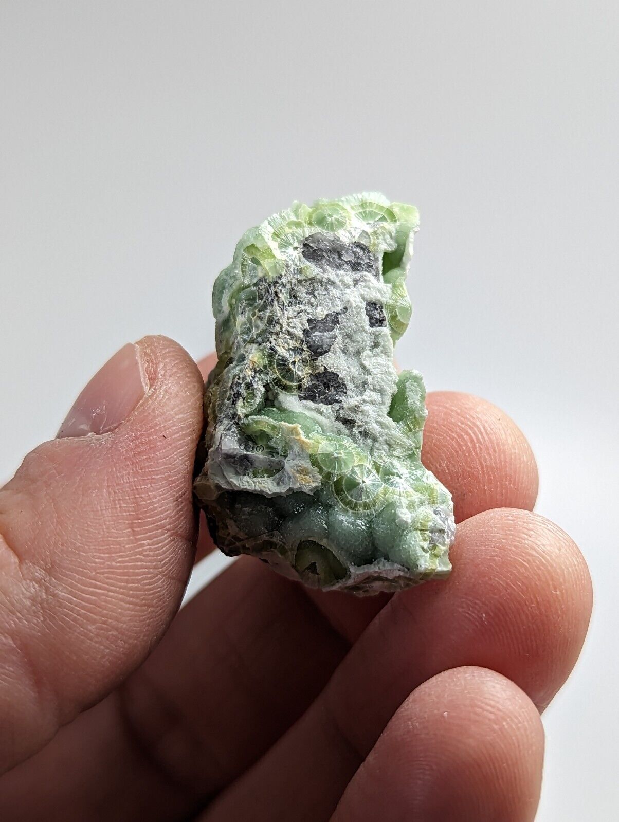 Beautiful Wavellite - Fantastic 1990s Old Stock - Mauldin Mountain Arkansas - Collectibles:Rocks Fossils &