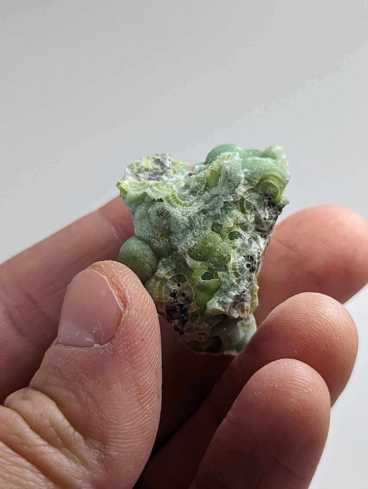 Beautiful Wavellite - Fantastic 1990s Old Stock - Mauldin Mountain Arkansas - Collectibles:Rocks Fossils &