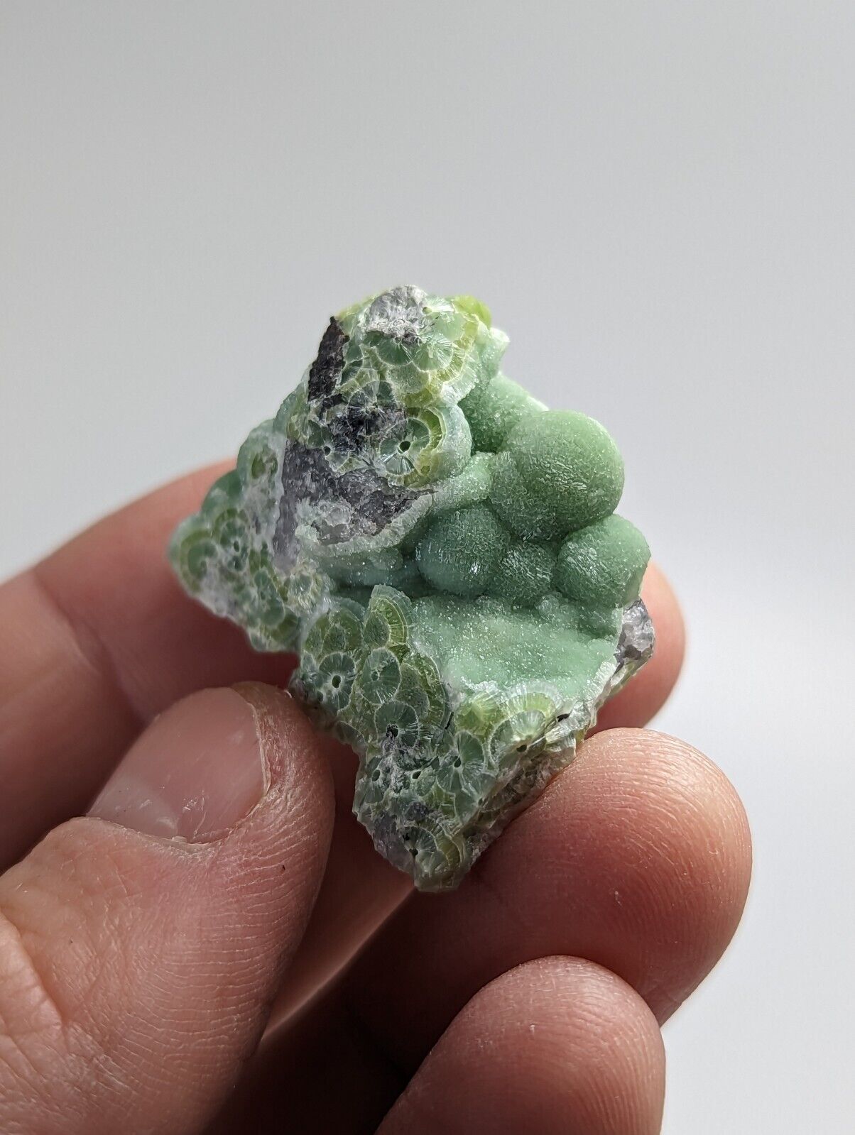 Beautiful Wavellite - Fantastic 1990s Old Stock - Mauldin Mountain Arkansas - Collectibles:Rocks Fossils &