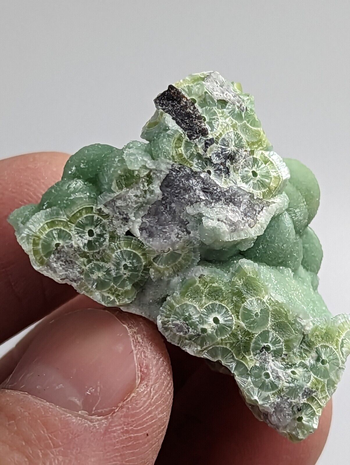 Beautiful Wavellite - Fantastic 1990s Old Stock - Mauldin Mountain Arkansas - Collectibles:Rocks Fossils &