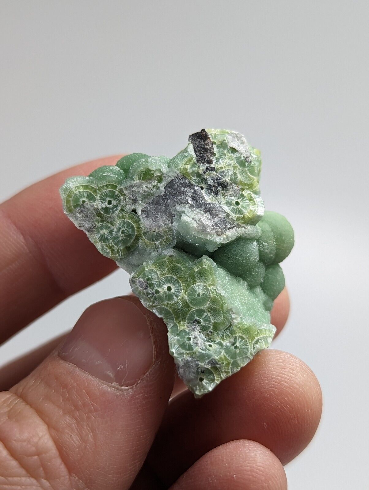 Beautiful Wavellite - Fantastic 1990s Old Stock - Mauldin Mountain Arkansas - Collectibles:Rocks Fossils &