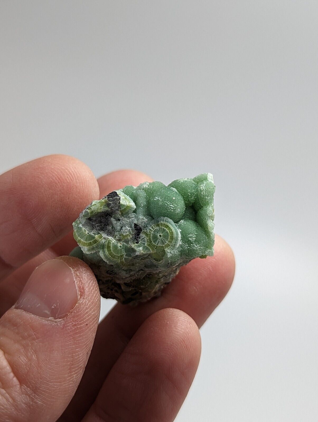 Beautiful Wavellite - Fantastic 1990s Old Stock - Mauldin Mountain Arkansas - Collectibles:Rocks Fossils &