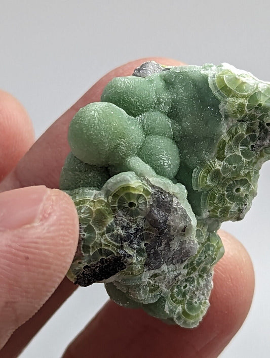 Beautiful Wavellite - Fantastic 1990s Old Stock - Mauldin Mountain Arkansas - Collectibles:Rocks Fossils &