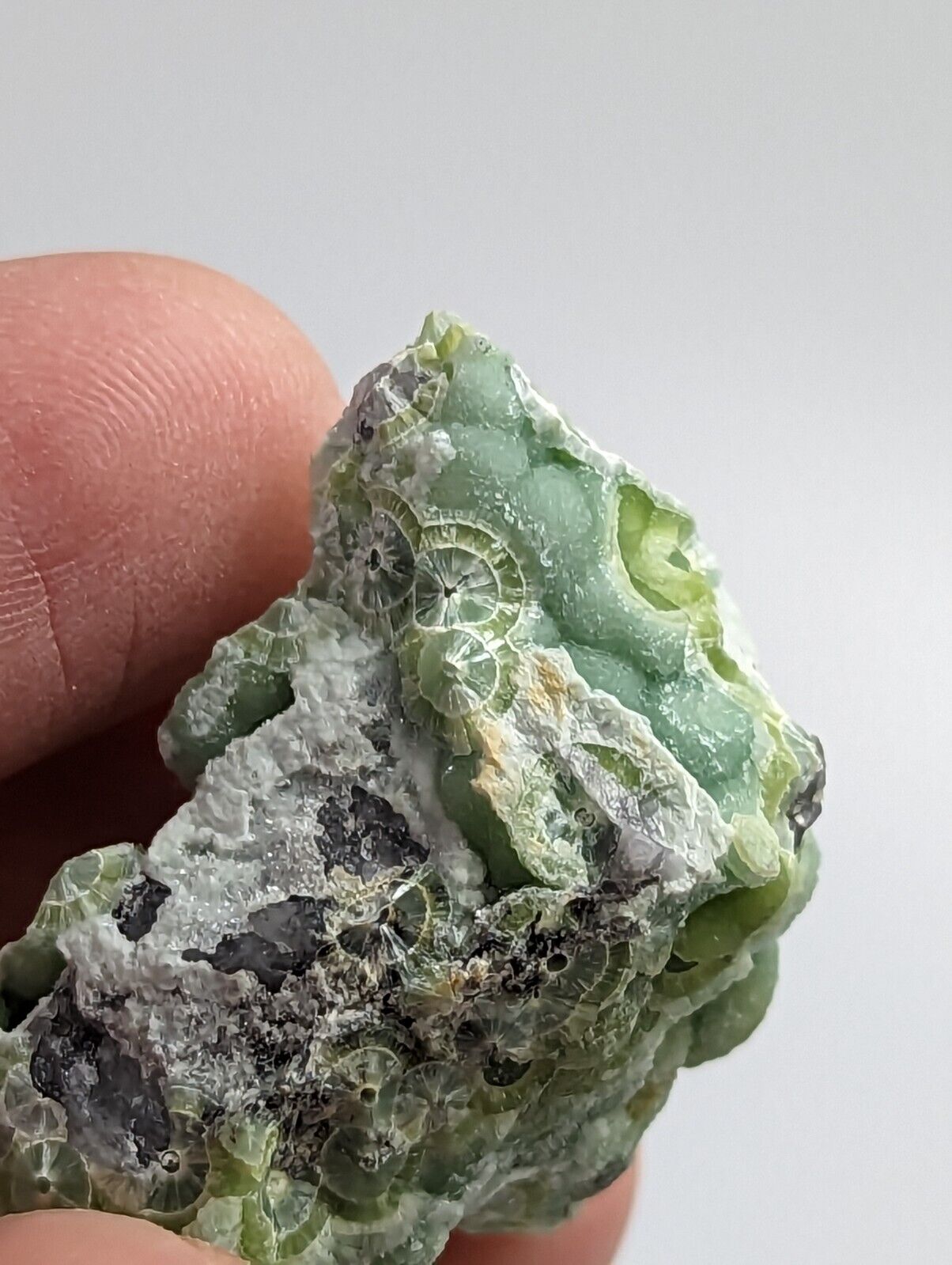 Beautiful Wavellite - Fantastic 1990s Old Stock - Mauldin Mountain Arkansas - Collectibles:Rocks Fossils &