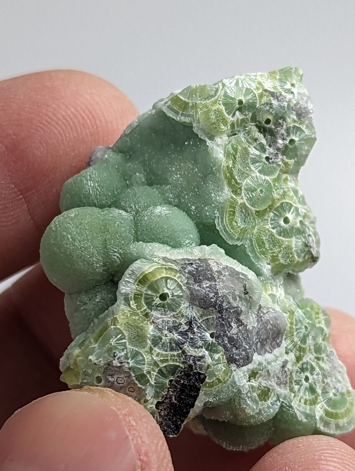 Beautiful Wavellite - Fantastic 1990s Old Stock - Mauldin Mountain Arkansas - Collectibles:Rocks Fossils &