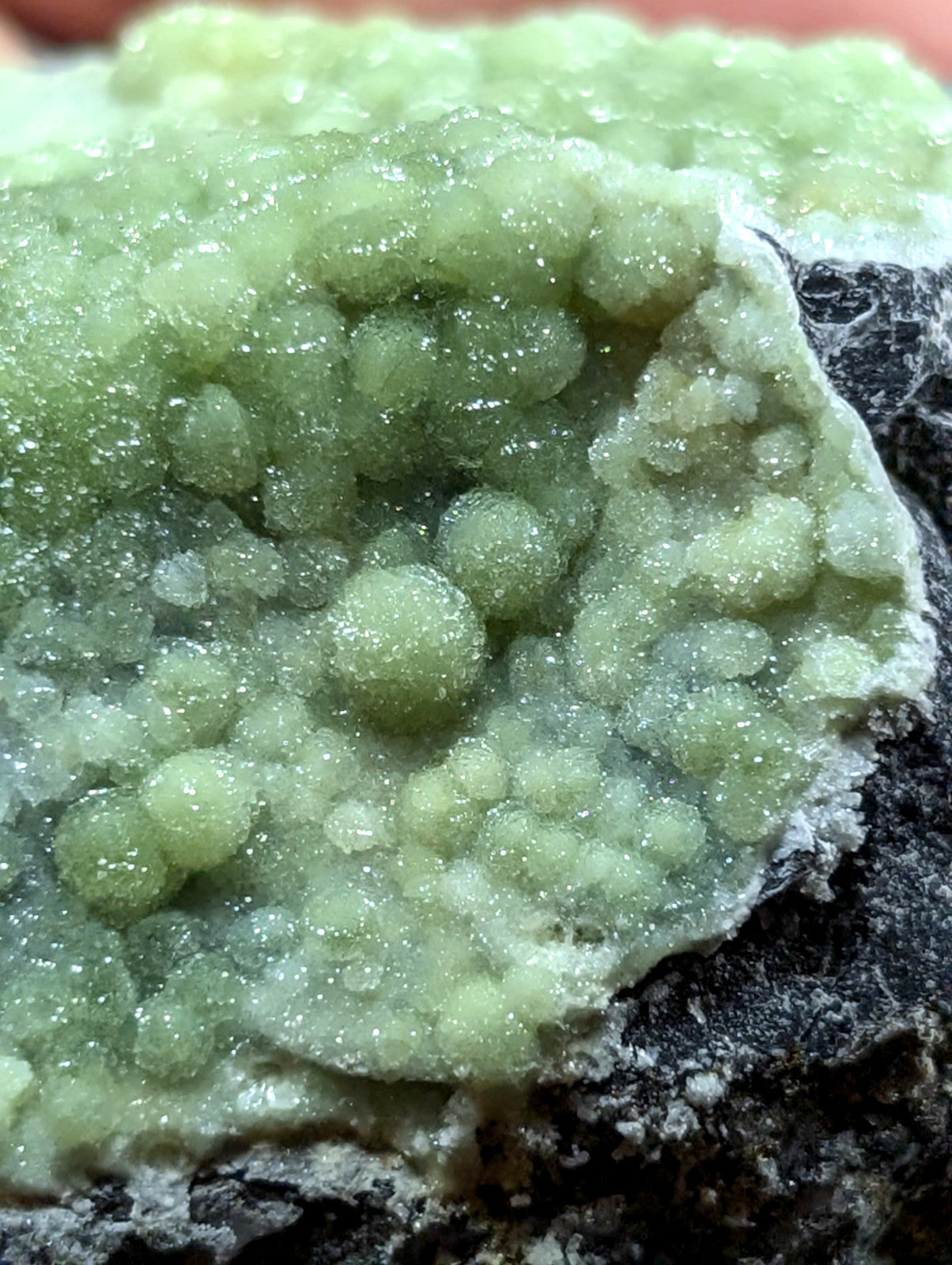 A vibrant green, crystalline mineral formation with a textured surface of rounded, bubble-like structures.