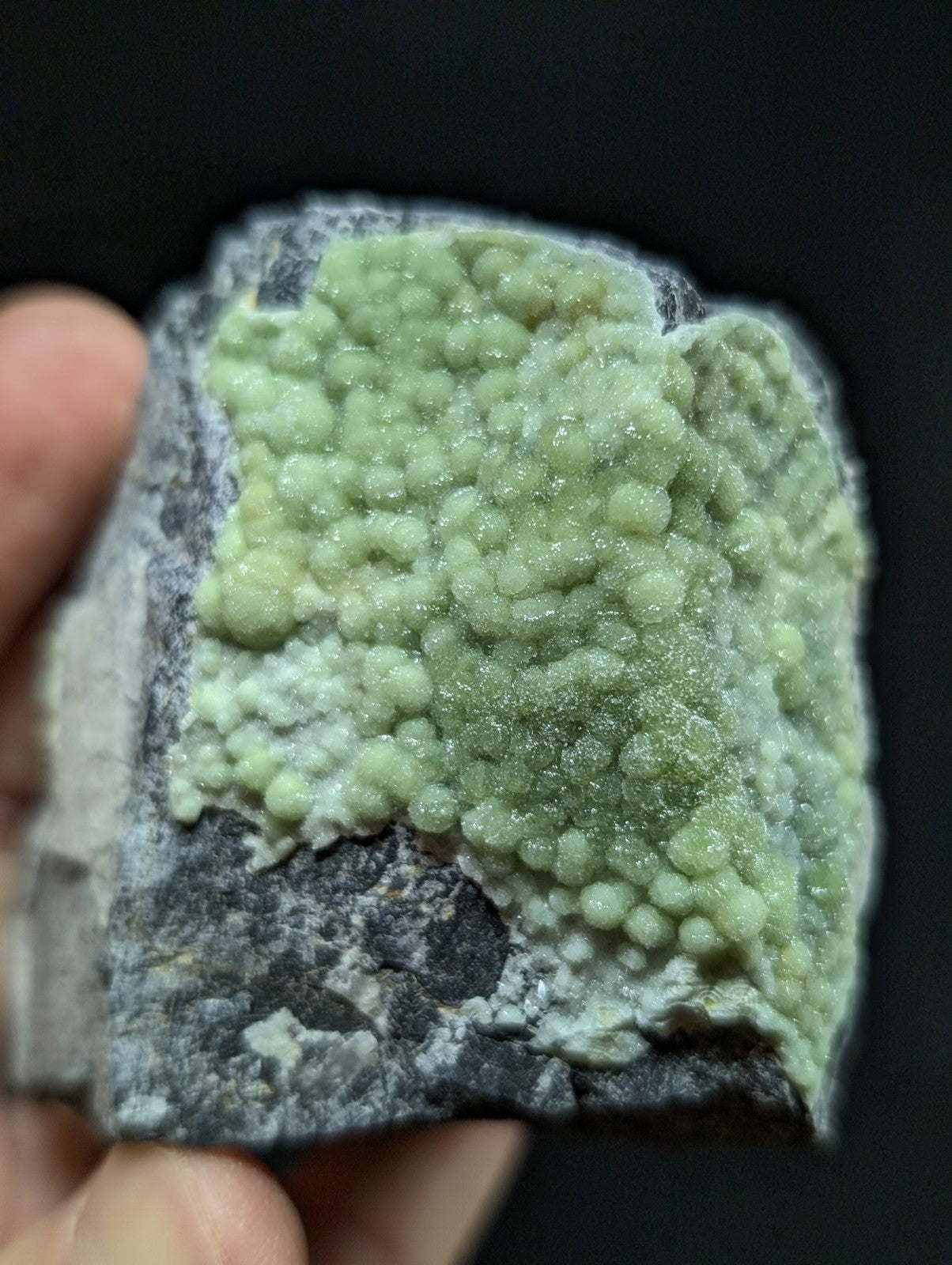 A hand holds a dark gray rock specimen featuring clusters of translucent, pale green spherical crystals with a slightly glittering surface.