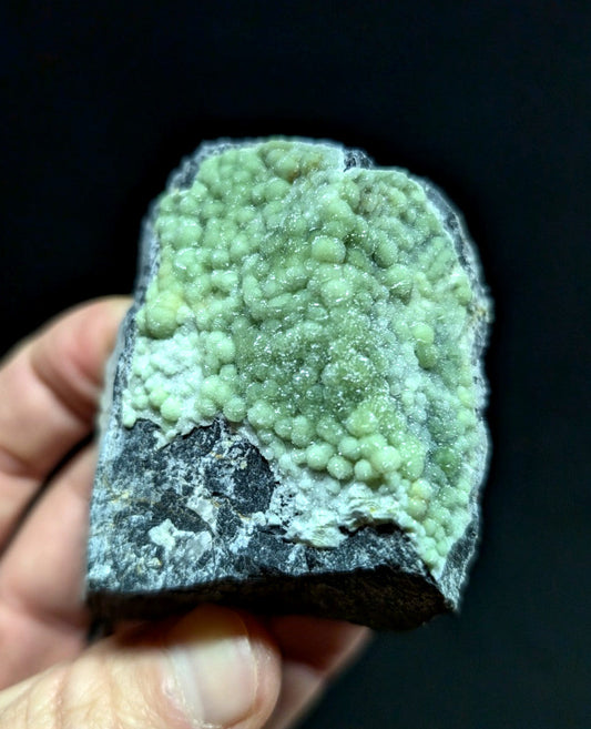 A hand holds a geological specimen featuring clusters of pale green, rounded crystals growing from a dark gray rock base.