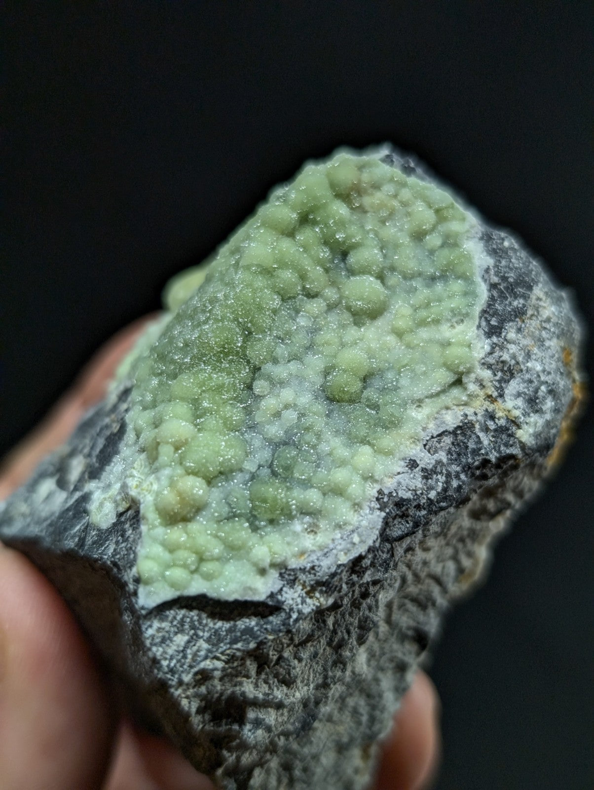 A hand holds a dark gray rock specimen featuring a vibrant, light green crystalline formation with rounded, bubble-like structures.