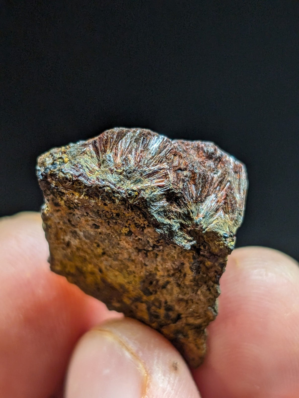 A rugged, irregularly shaped piece of fossilized coral with a textured surface displaying earthy brown and greenish hues.
